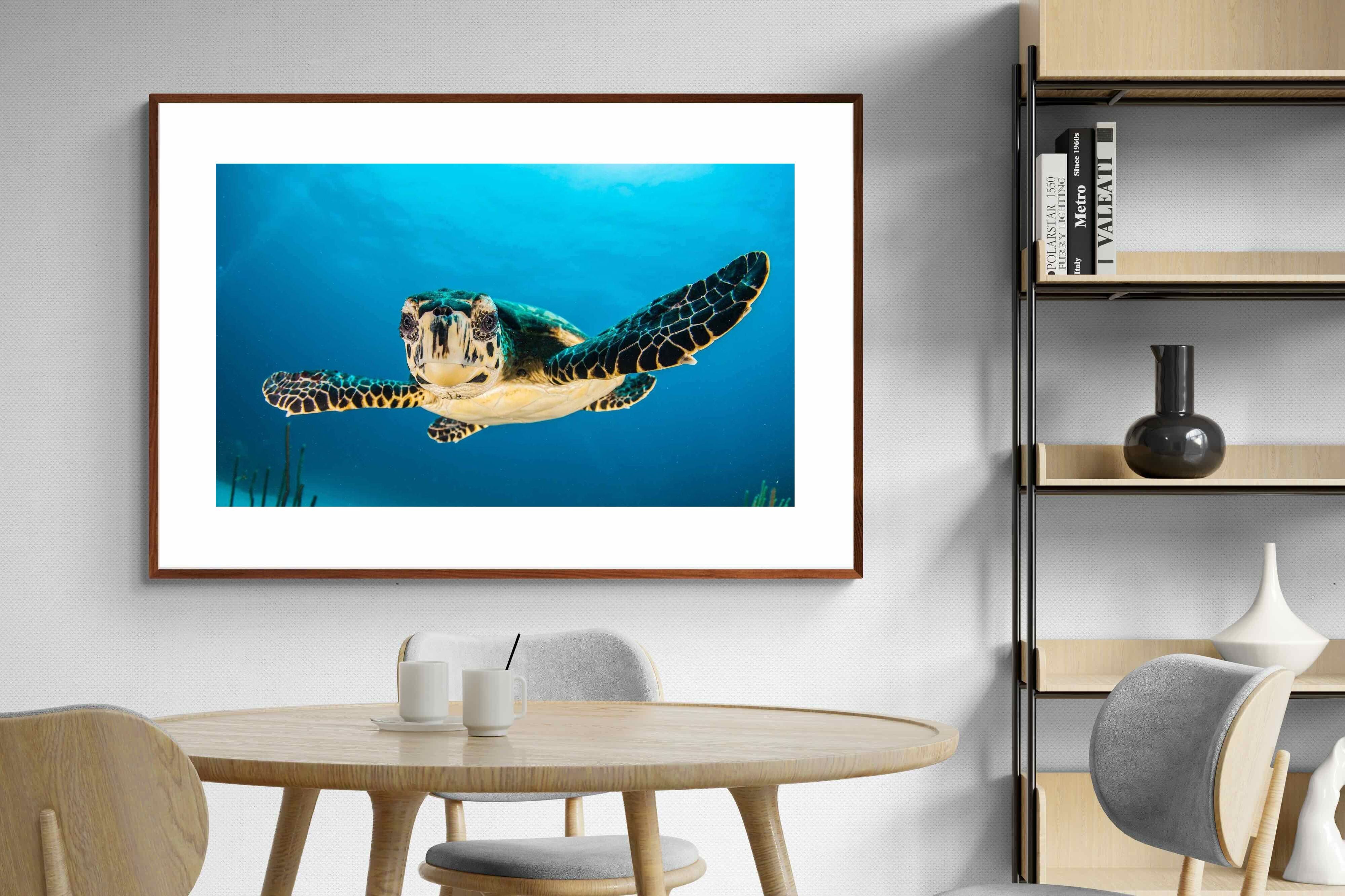 Pixalot ® Baby Turtle