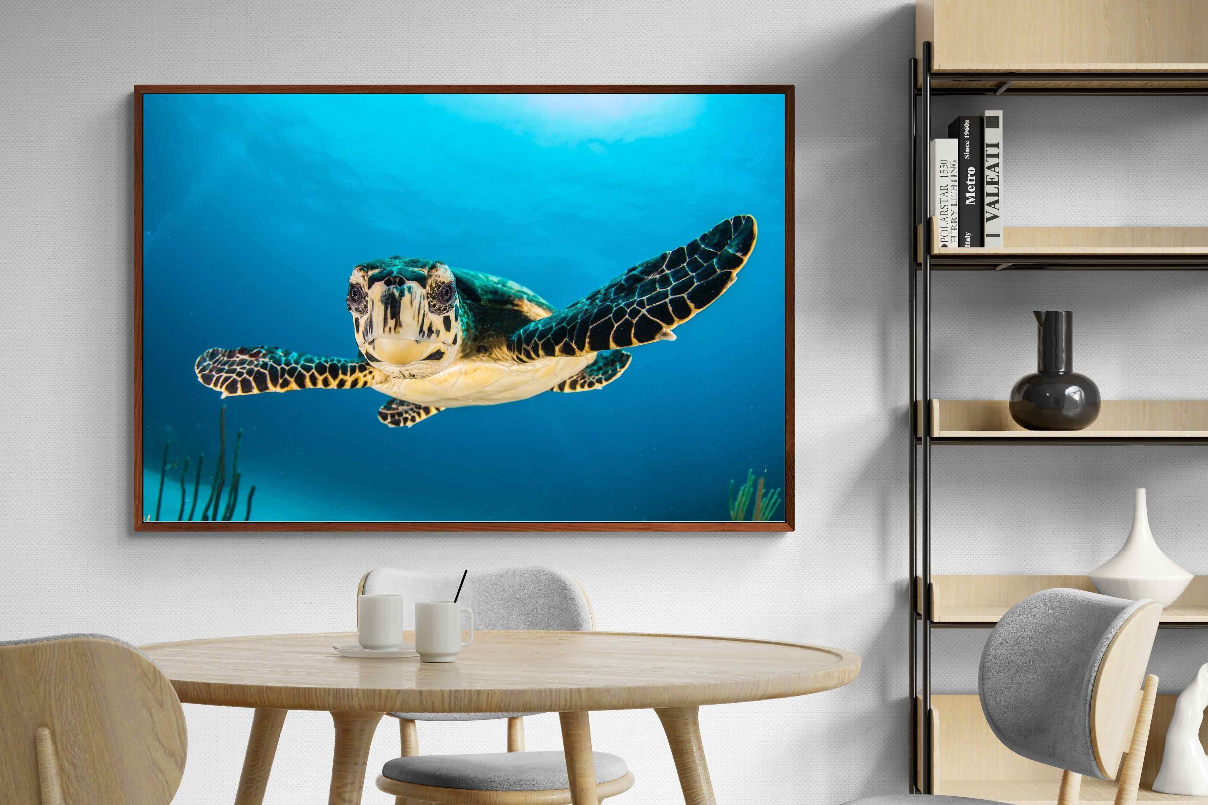 Pixalot ® Baby Turtle