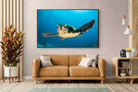 Pixalot ® Baby Turtle