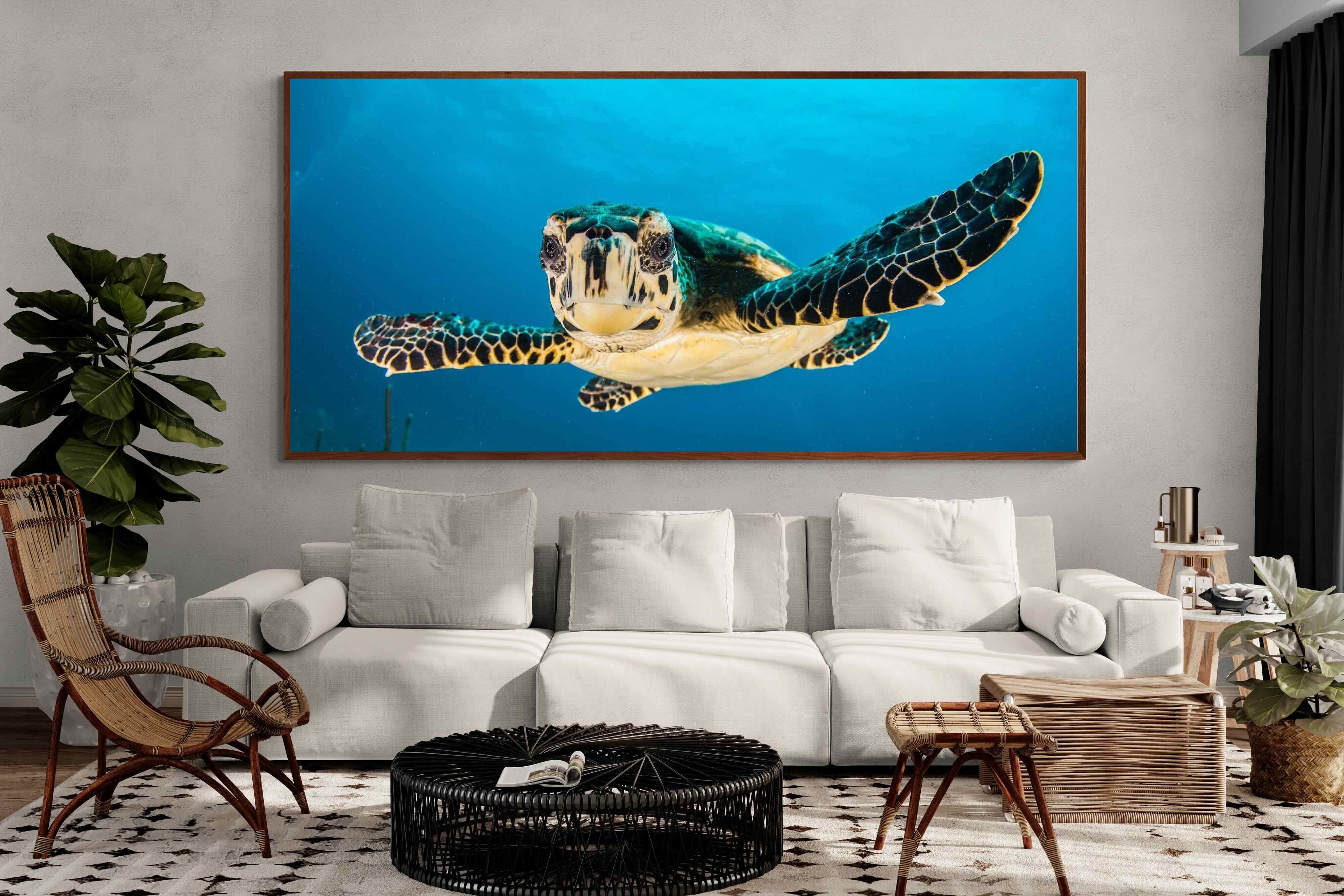 Pixalot ® Baby Turtle