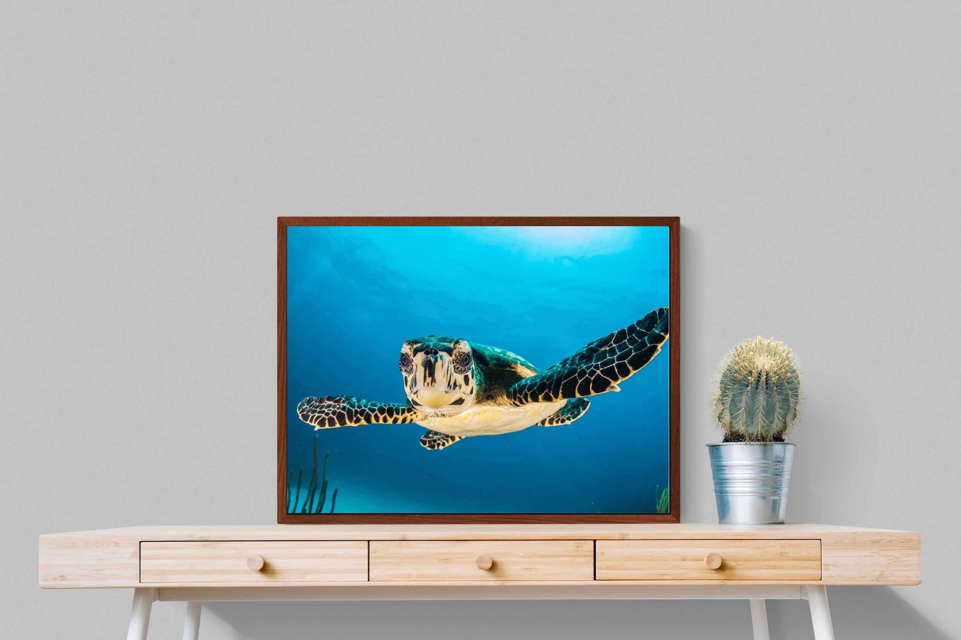 Pixalot ® Baby Turtle