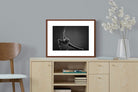 Pixalot ® Ballerina