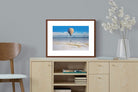 Pixalot ® Balloon Over the Salt Flats