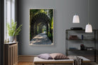 Pixalot Bamboo Pergola