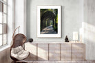 Pixalot Bamboo Pergola