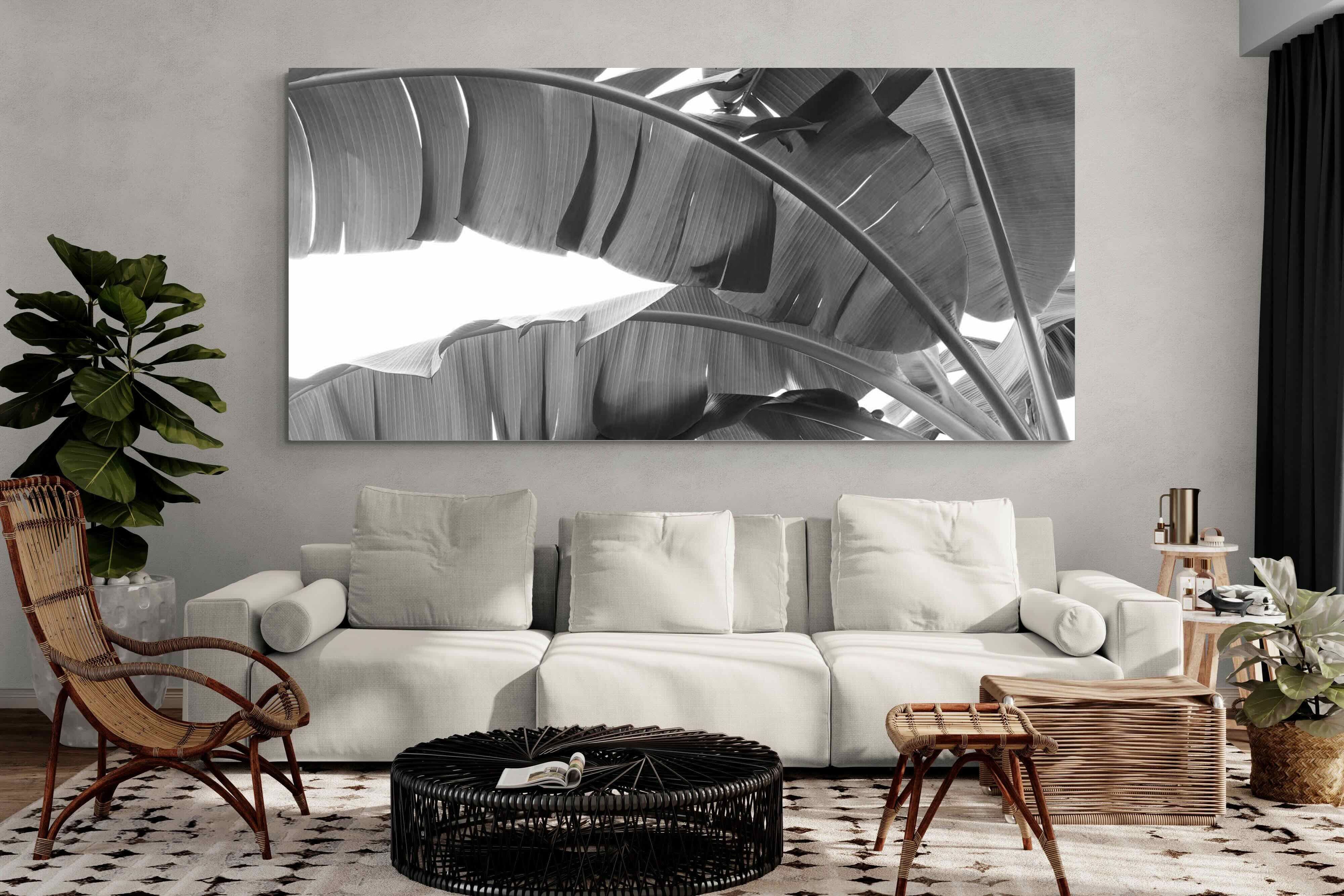 Pixalot ® Banana Frond