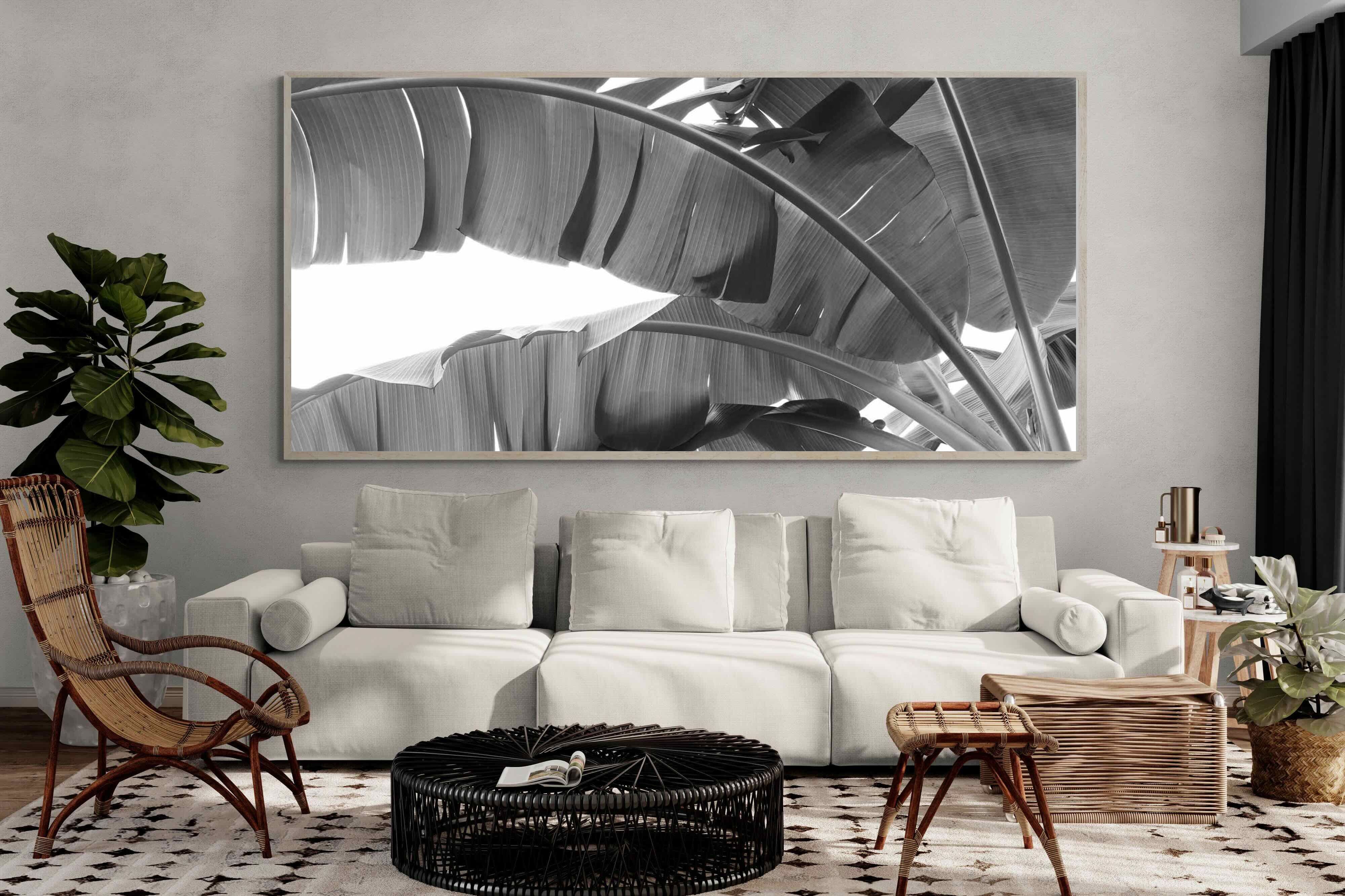 Pixalot ® Banana Frond