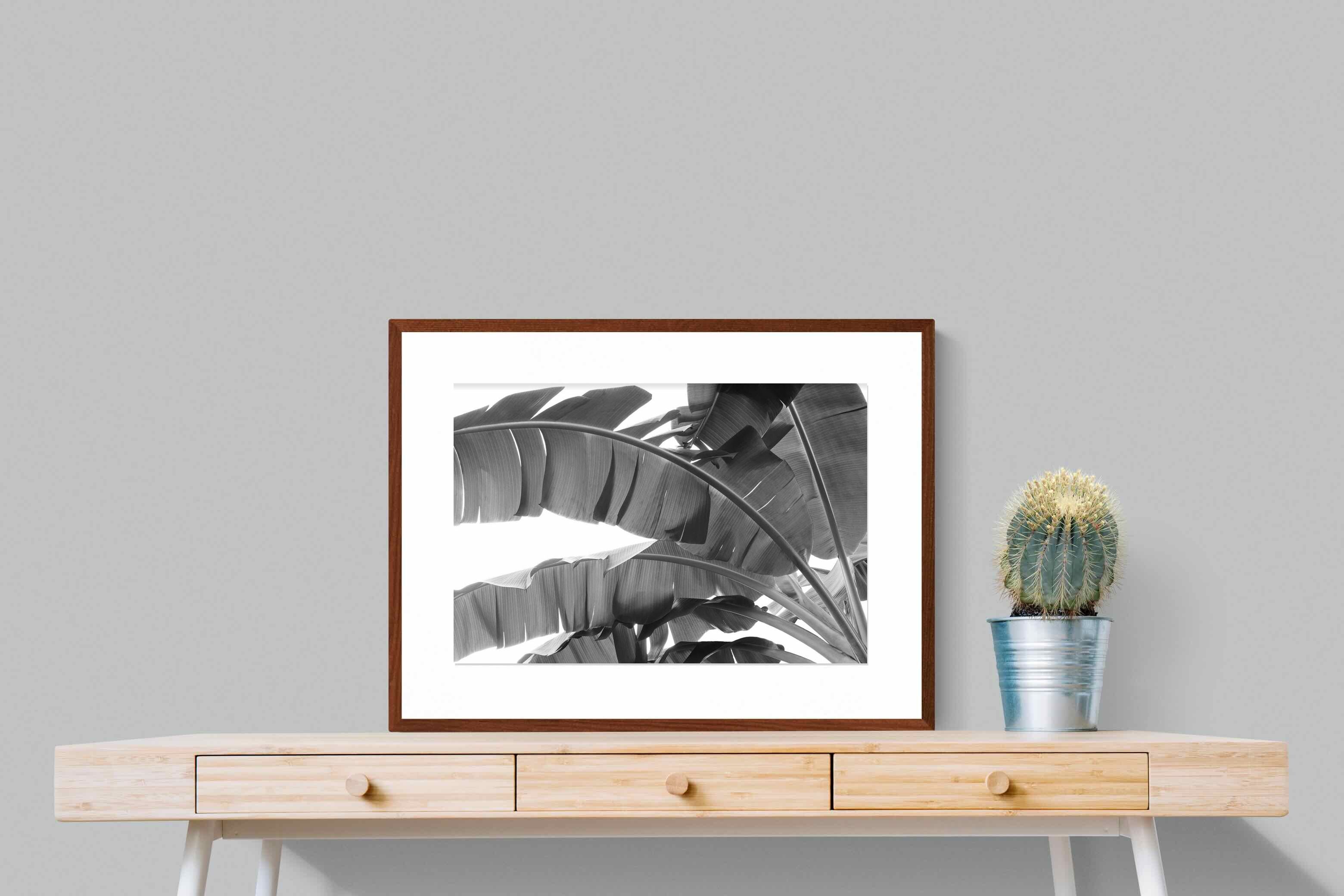 Pixalot ® Banana Frond