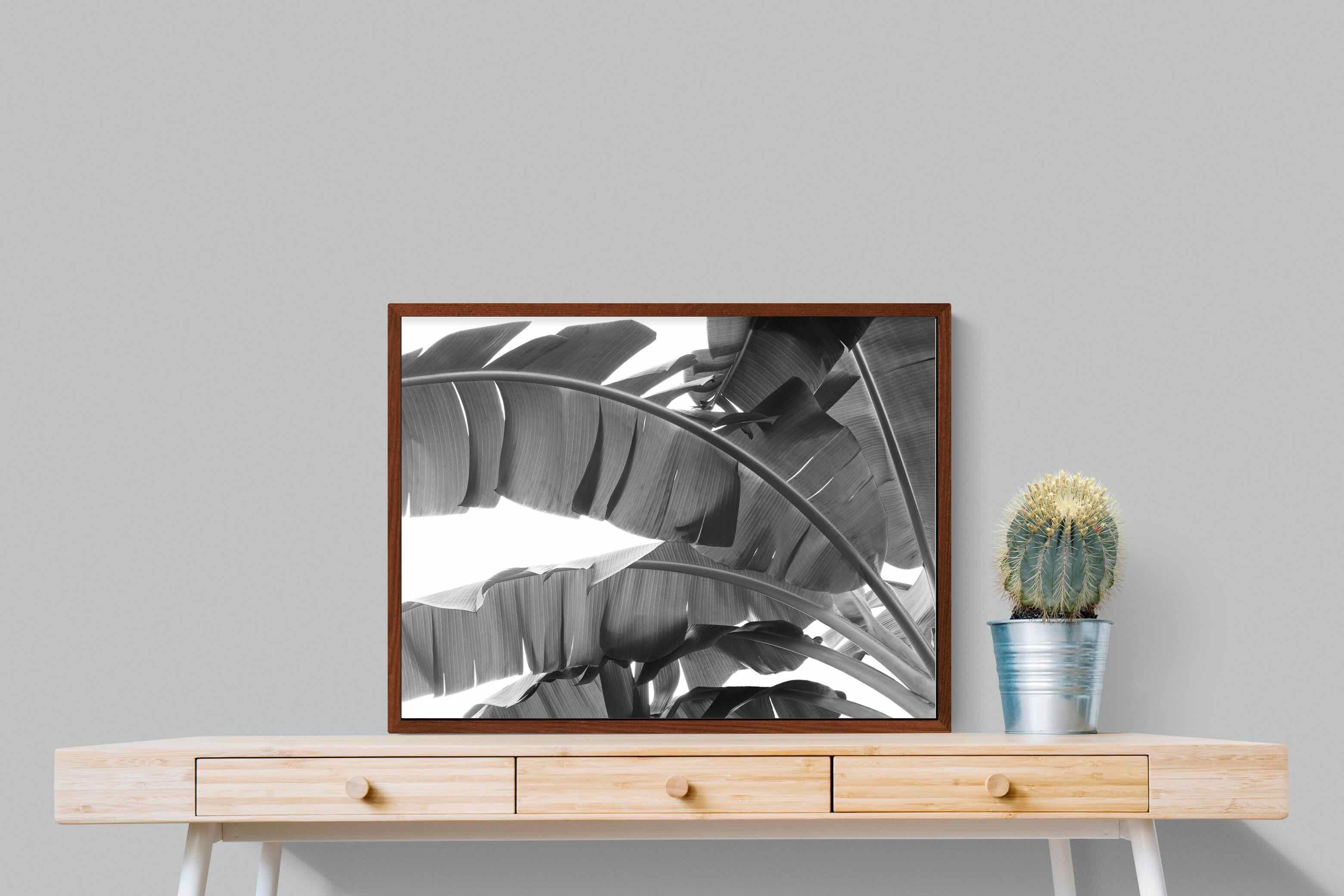 Pixalot ® Banana Frond