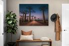 Pixalot Baobab Avenue