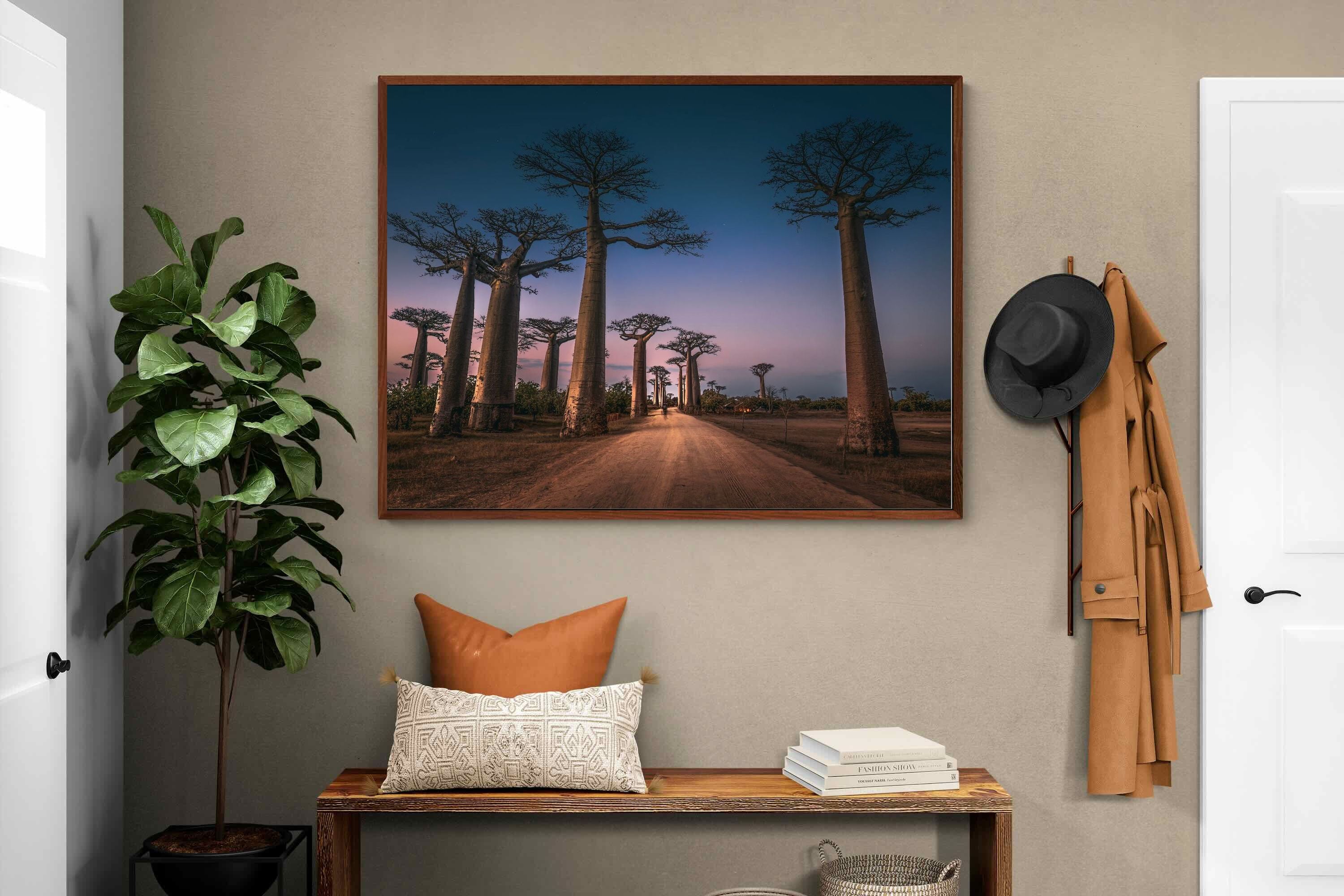 Pixalot Baobab Avenue