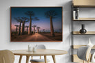 Pixalot Baobab Avenue