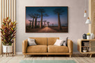 Pixalot Baobab Avenue