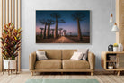 Pixalot Baobab Avenue