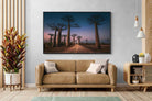 Pixalot Baobab Avenue