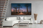 Pixalot Baobab Avenue
