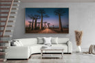 Pixalot Baobab Avenue