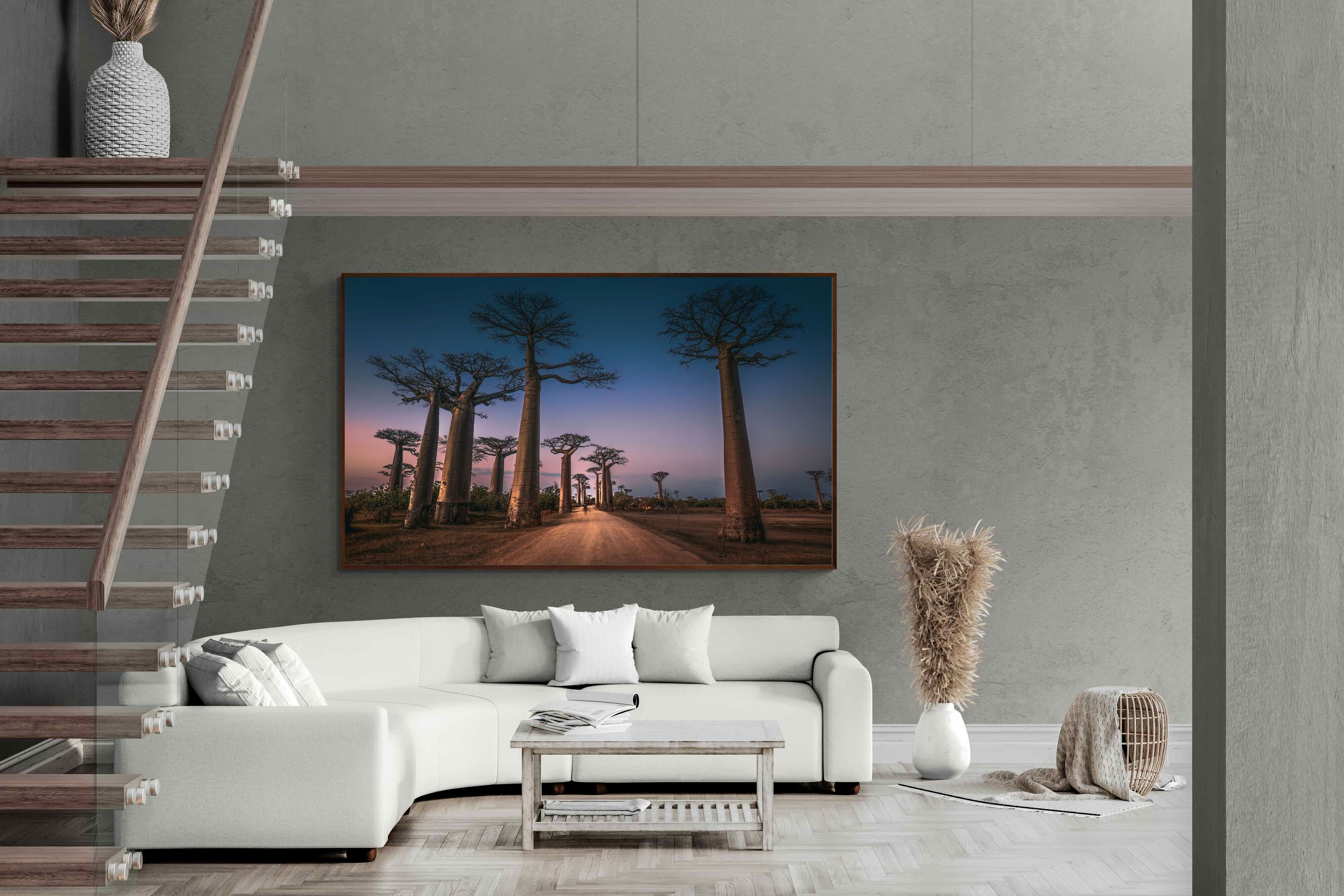 Pixalot Baobab Avenue