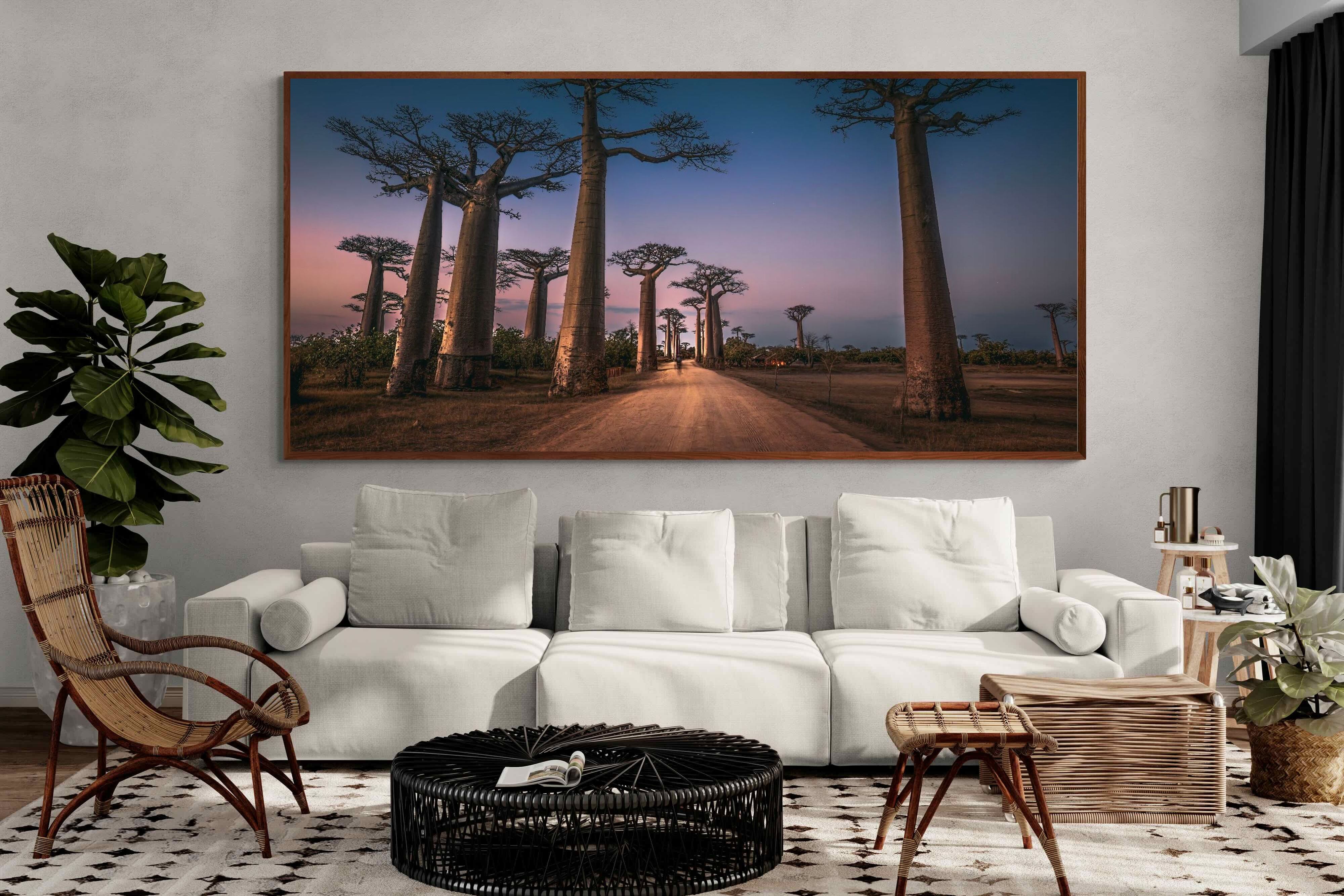 Pixalot Baobab Avenue