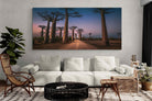Pixalot Baobab Avenue