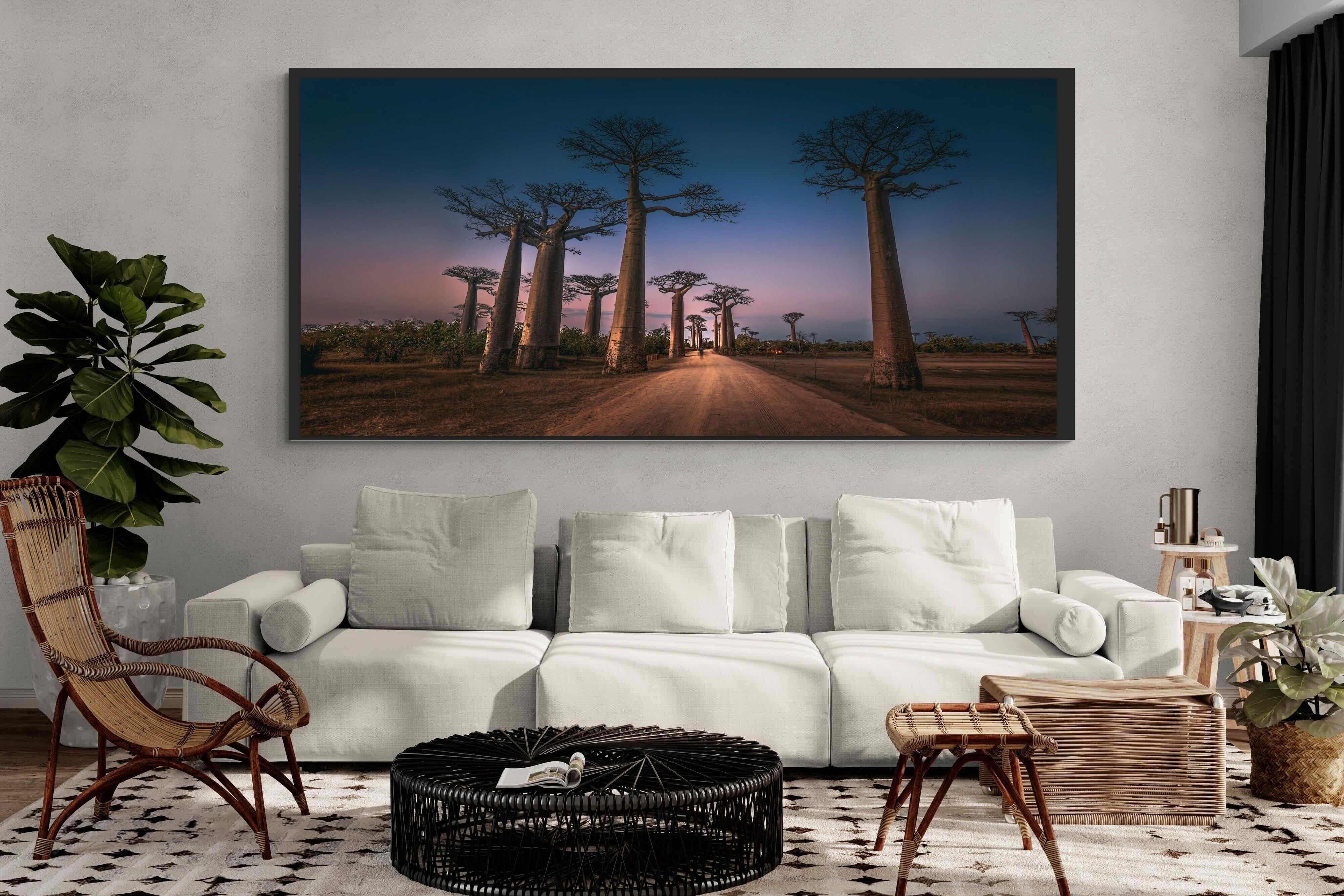 Pixalot ® Baobab Avenue