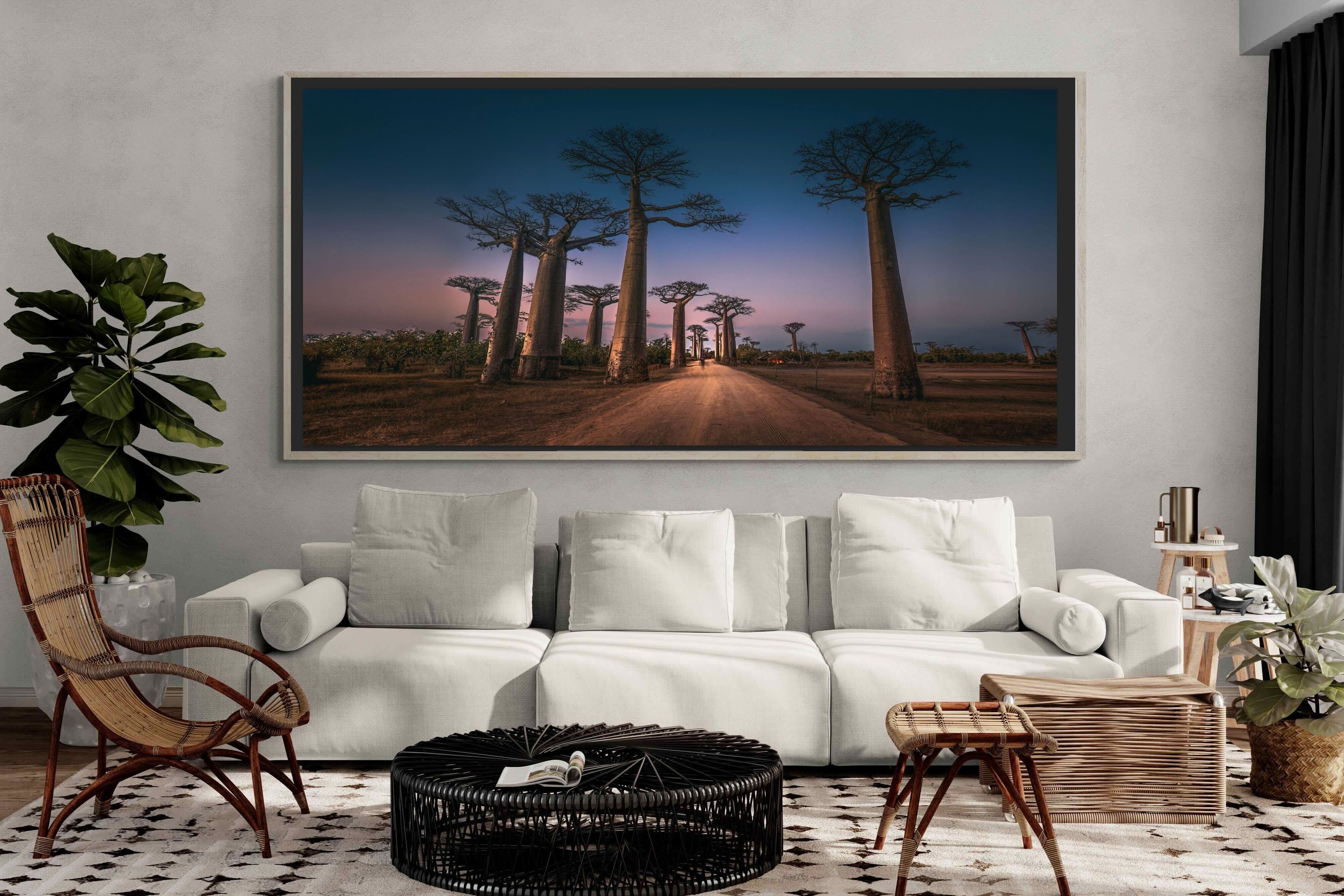 Pixalot ® Baobab Avenue