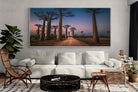 Pixalot Baobab Avenue