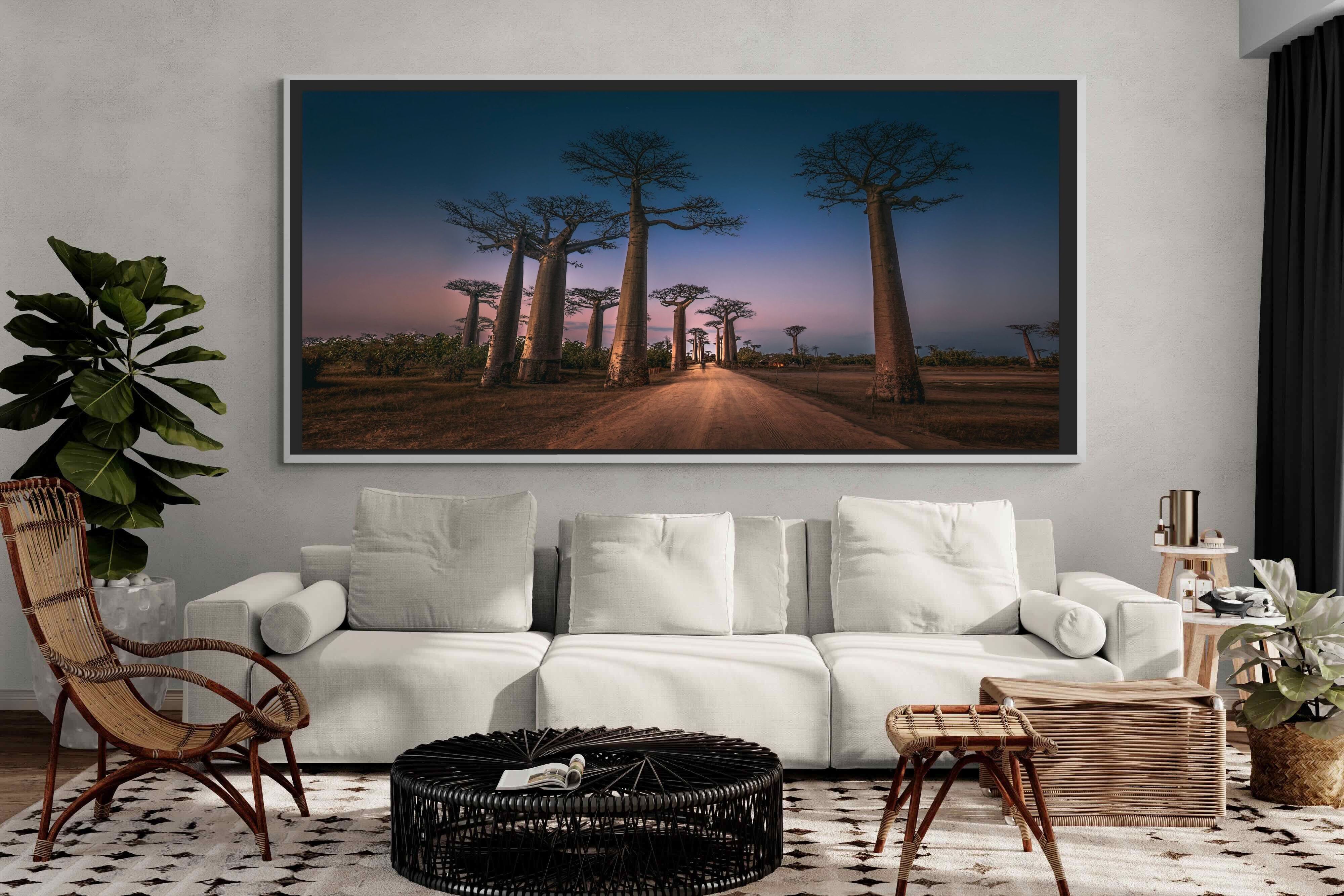 Pixalot ® Baobab Avenue