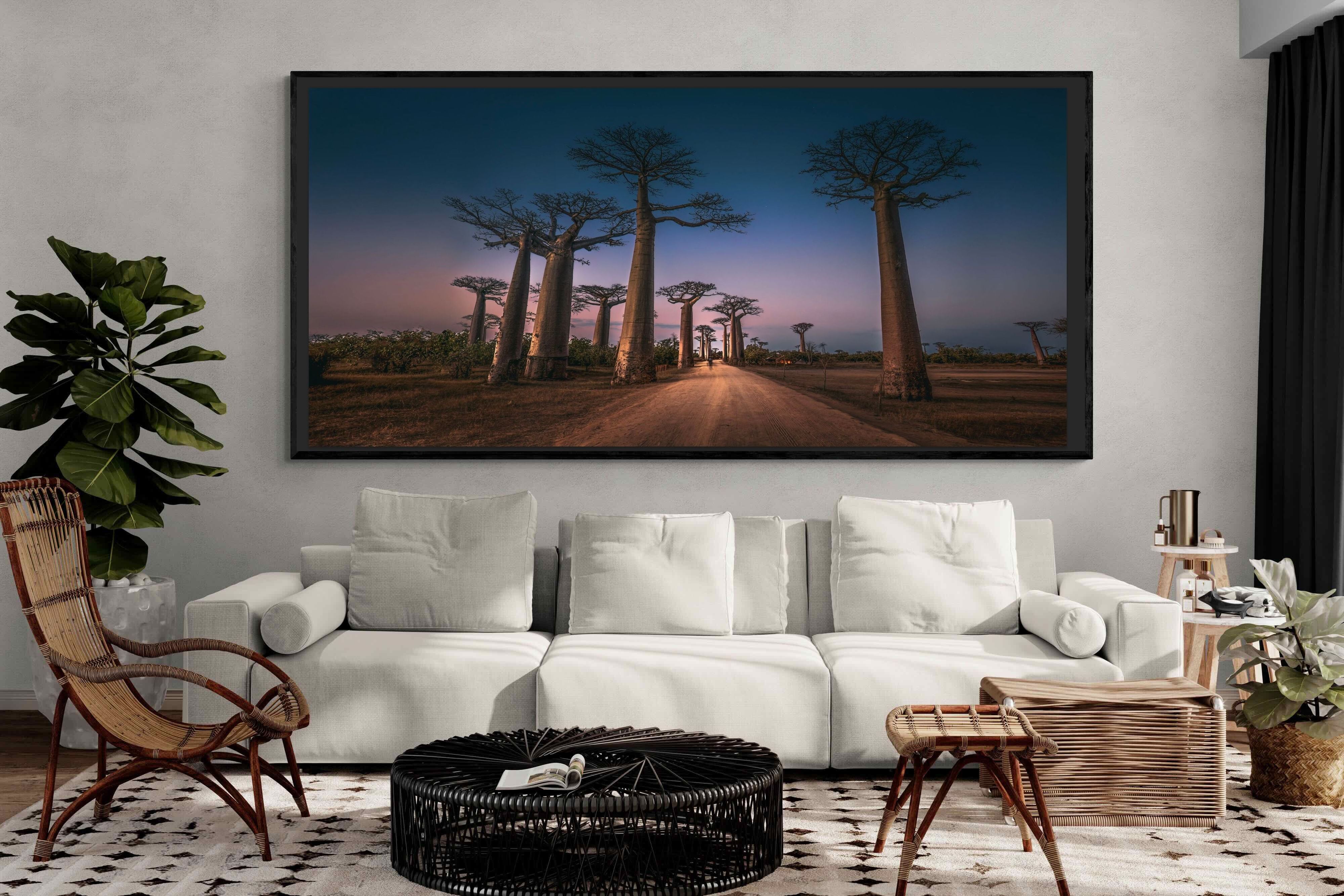 Pixalot ® Baobab Avenue