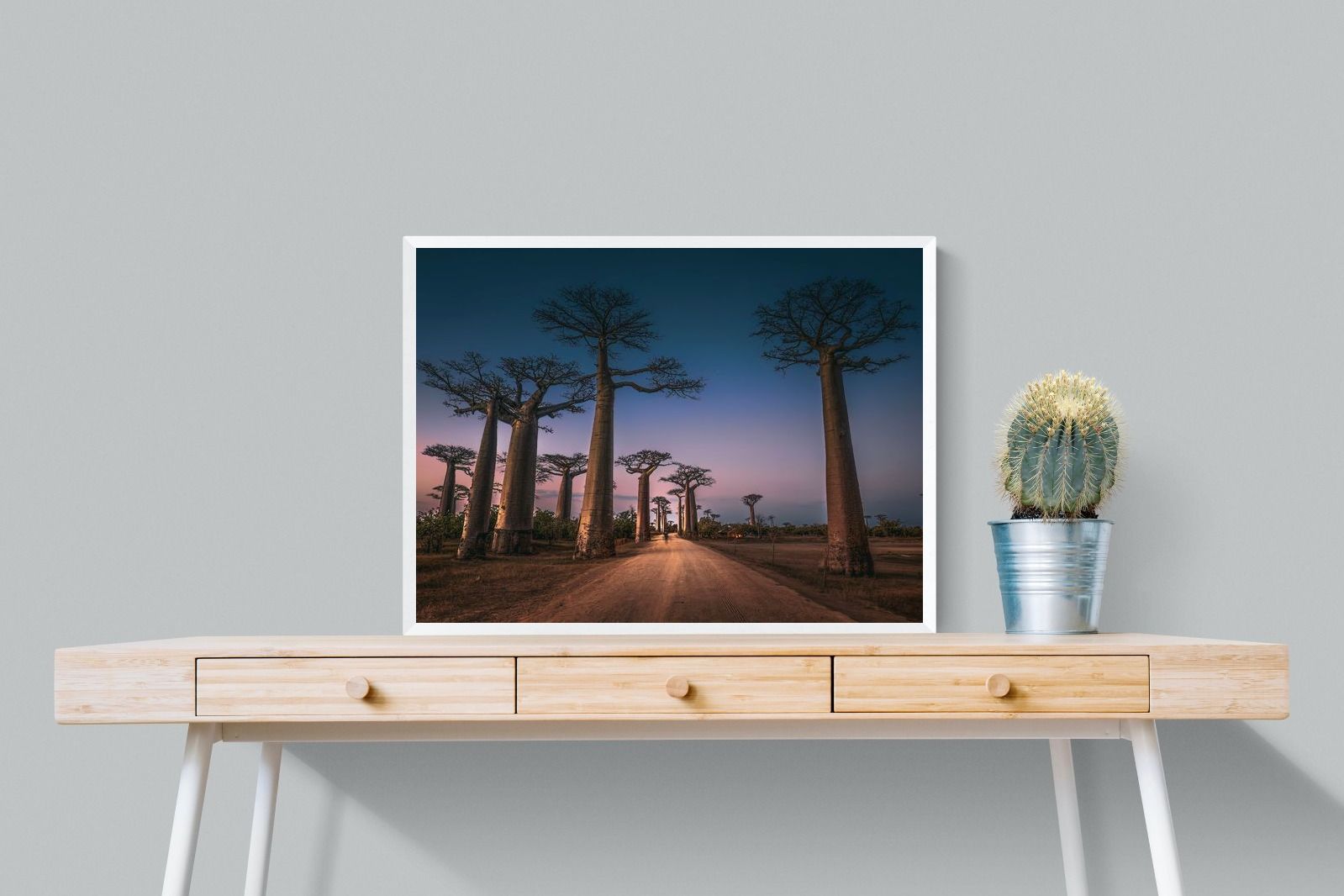 Pixalot Baobab Avenue