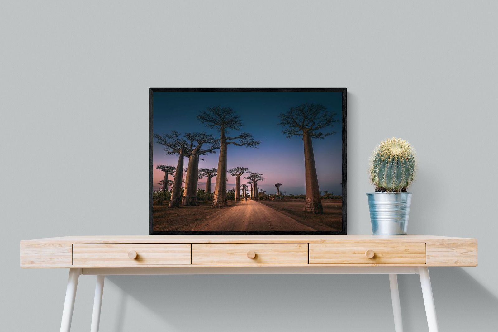 Pixalot Baobab Avenue