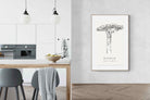 Pixalot ® Baobab Illustration