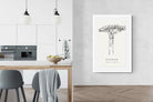 Pixalot ® Baobab Illustration