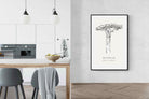 Pixalot ® Baobab Illustration