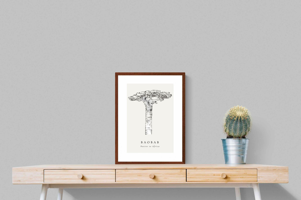 Pixalot ® Baobab Illustration