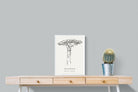 Pixalot ® Baobab Illustration