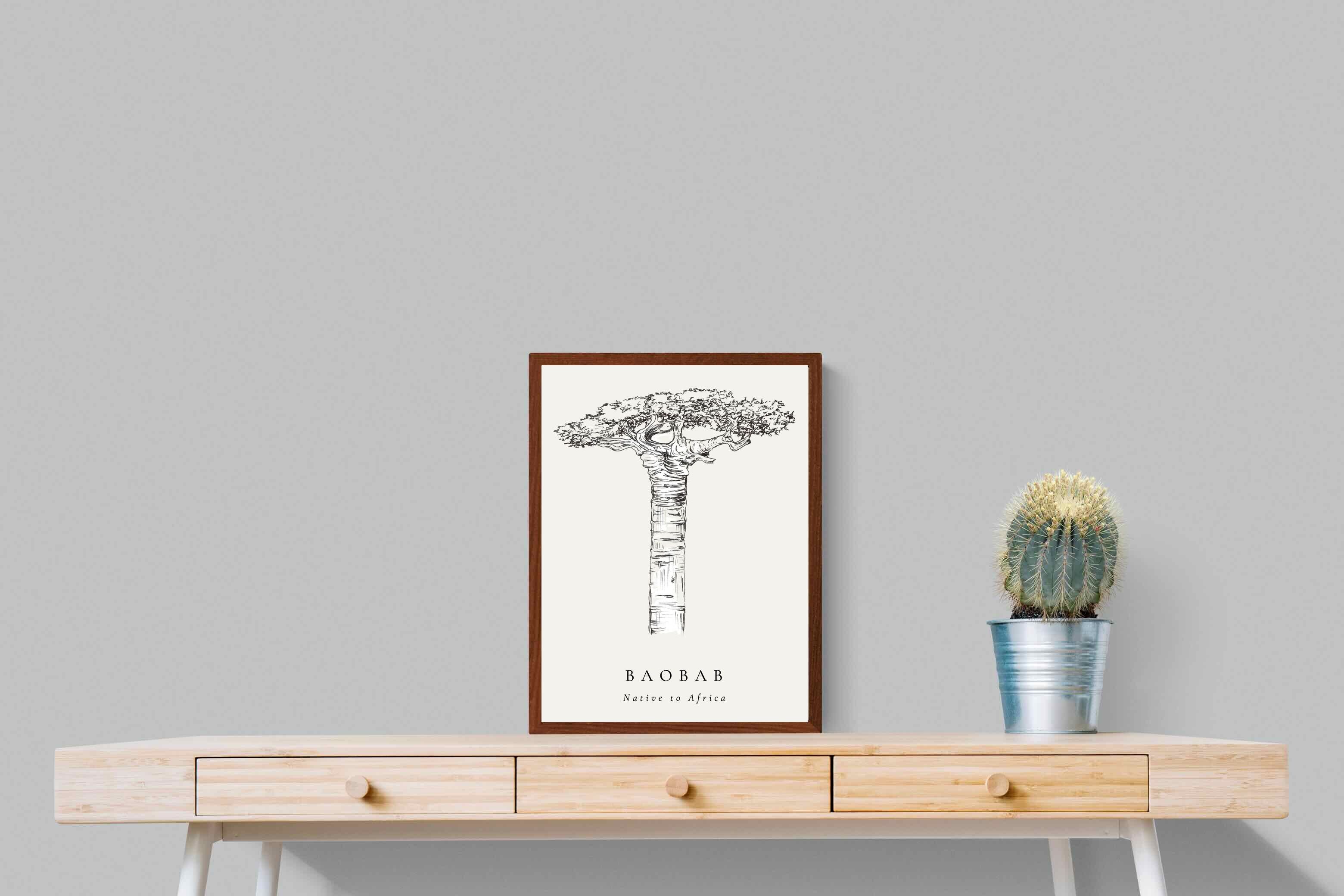 Pixalot ® Baobab Illustration