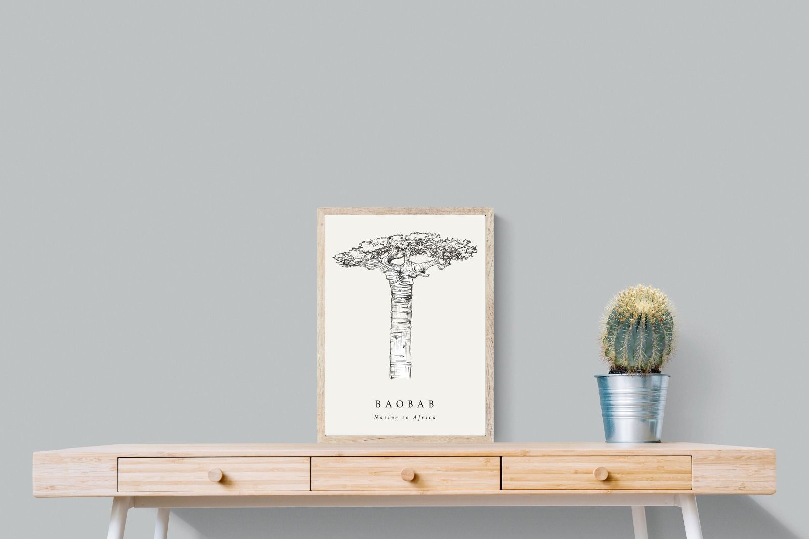 Pixalot ® Baobab Illustration