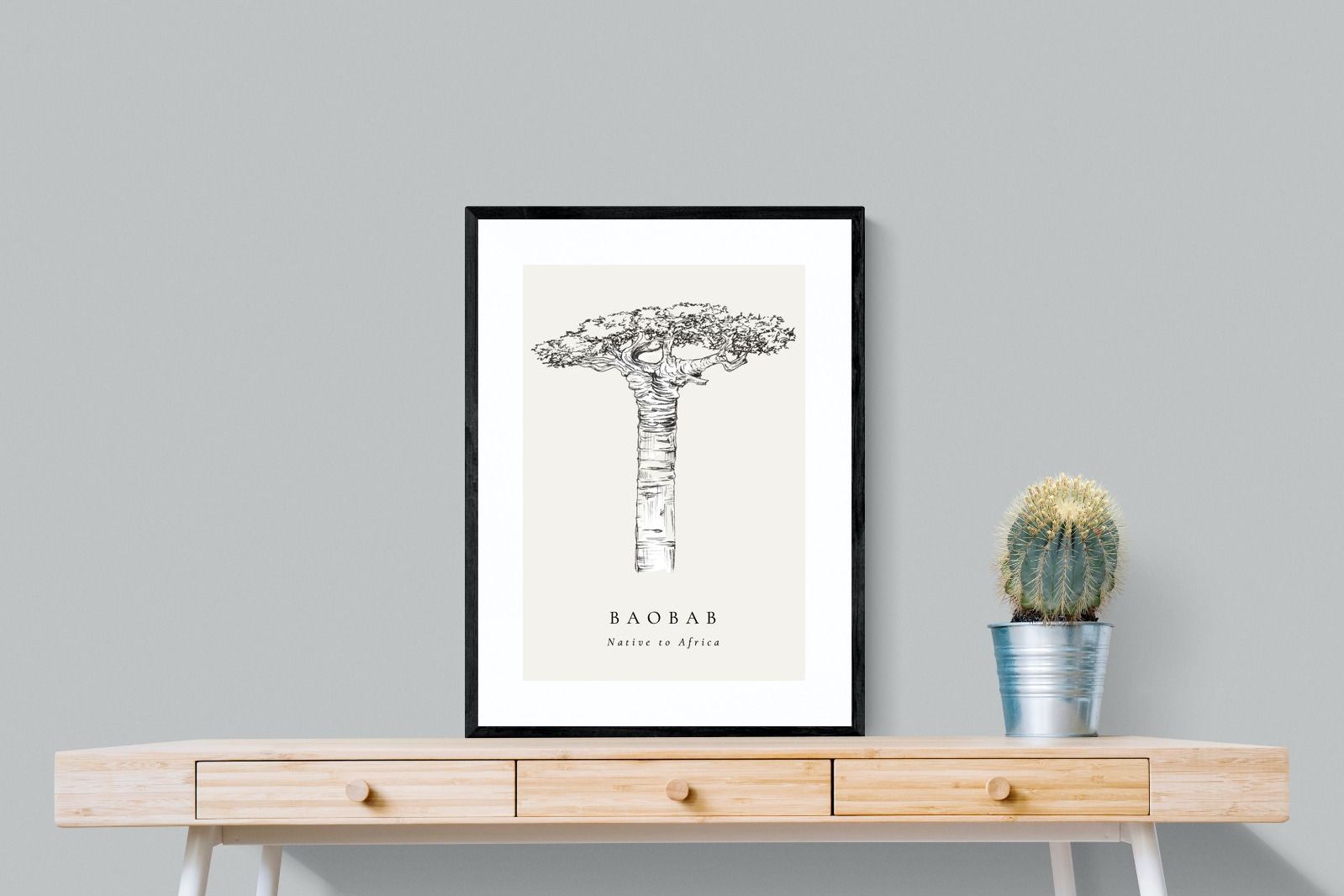 Pixalot ® Baobab Illustration