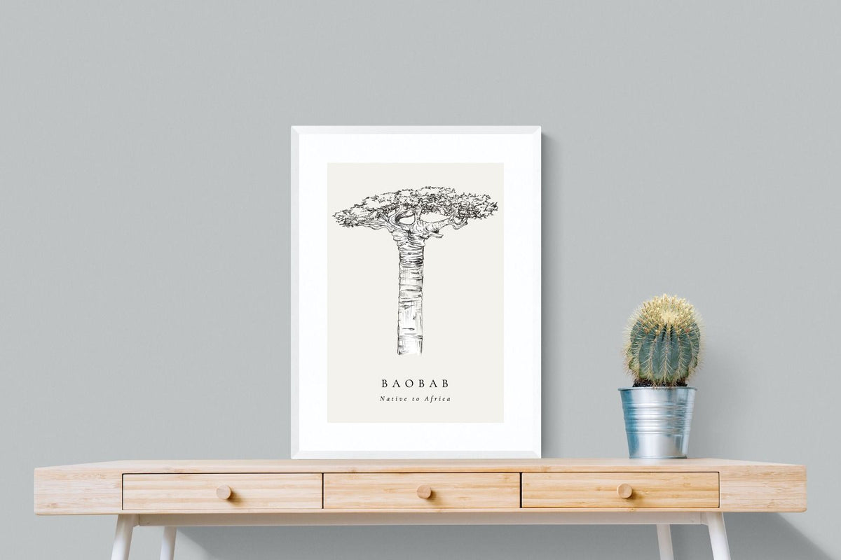 Pixalot ® Baobab Illustration