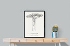 Pixalot ® Baobab Illustration