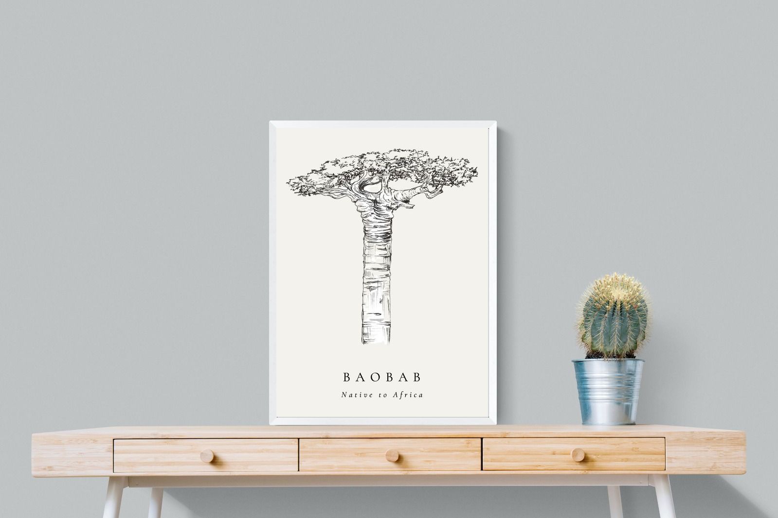 Pixalot ® Baobab Illustration