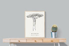 Pixalot ® Baobab Illustration