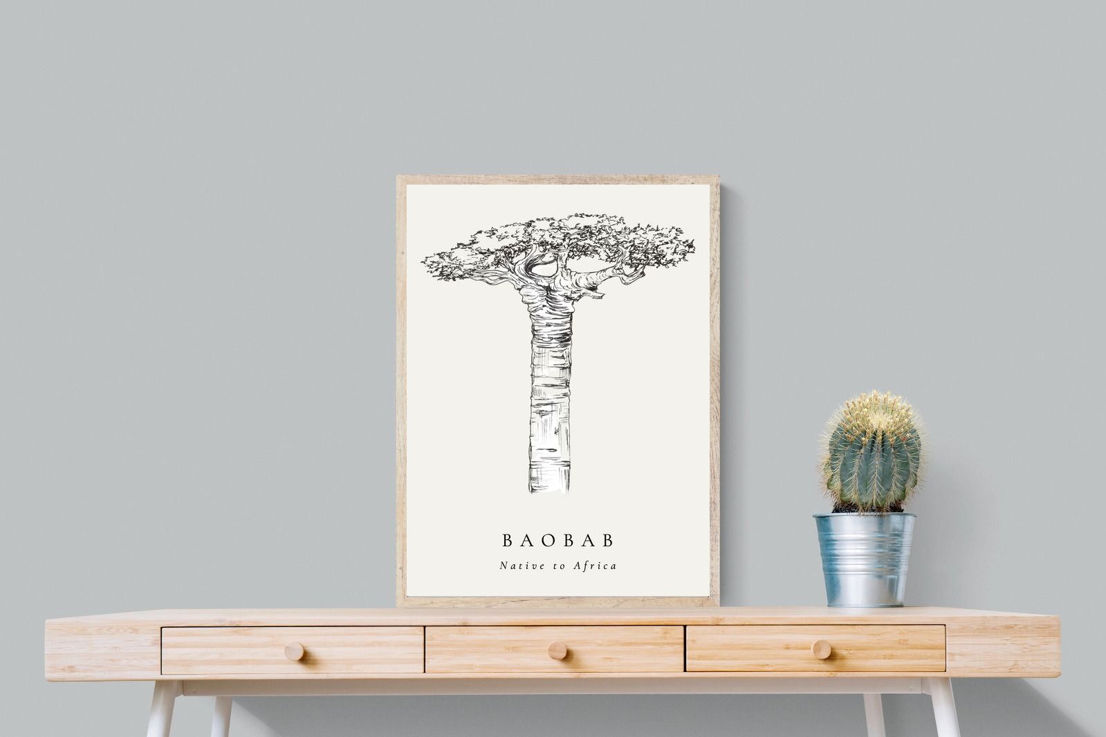 Pixalot ® Baobab Illustration