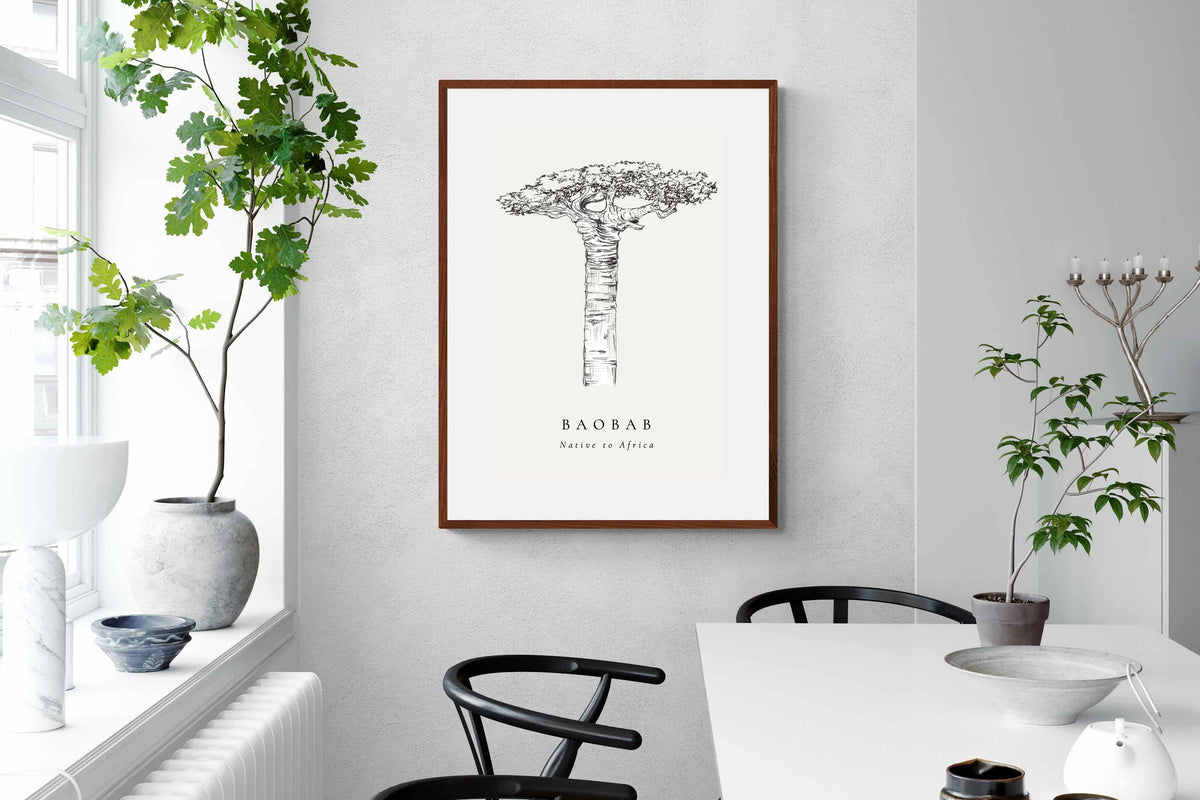 Pixalot ® Baobab Illustration