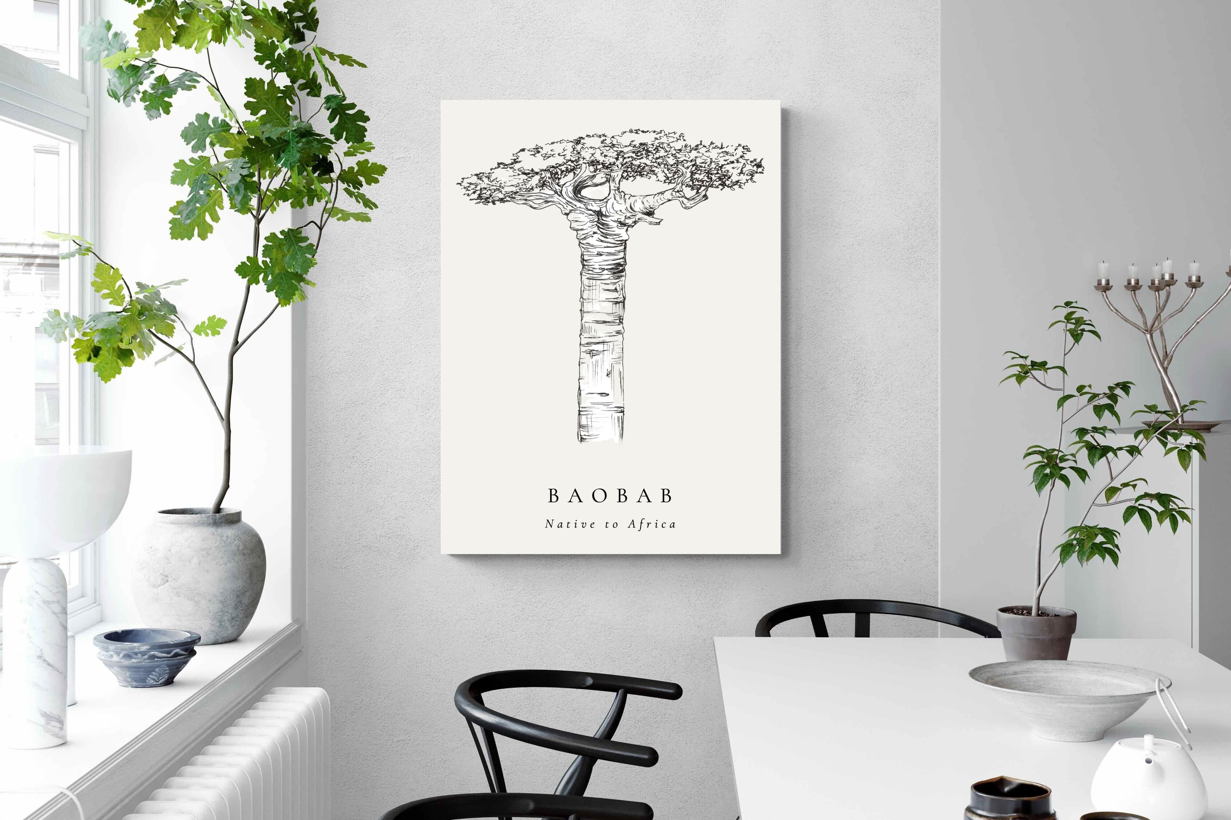 Pixalot ® Baobab Illustration