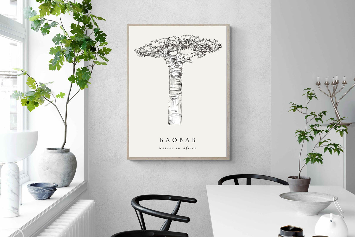 Pixalot ® Baobab Illustration