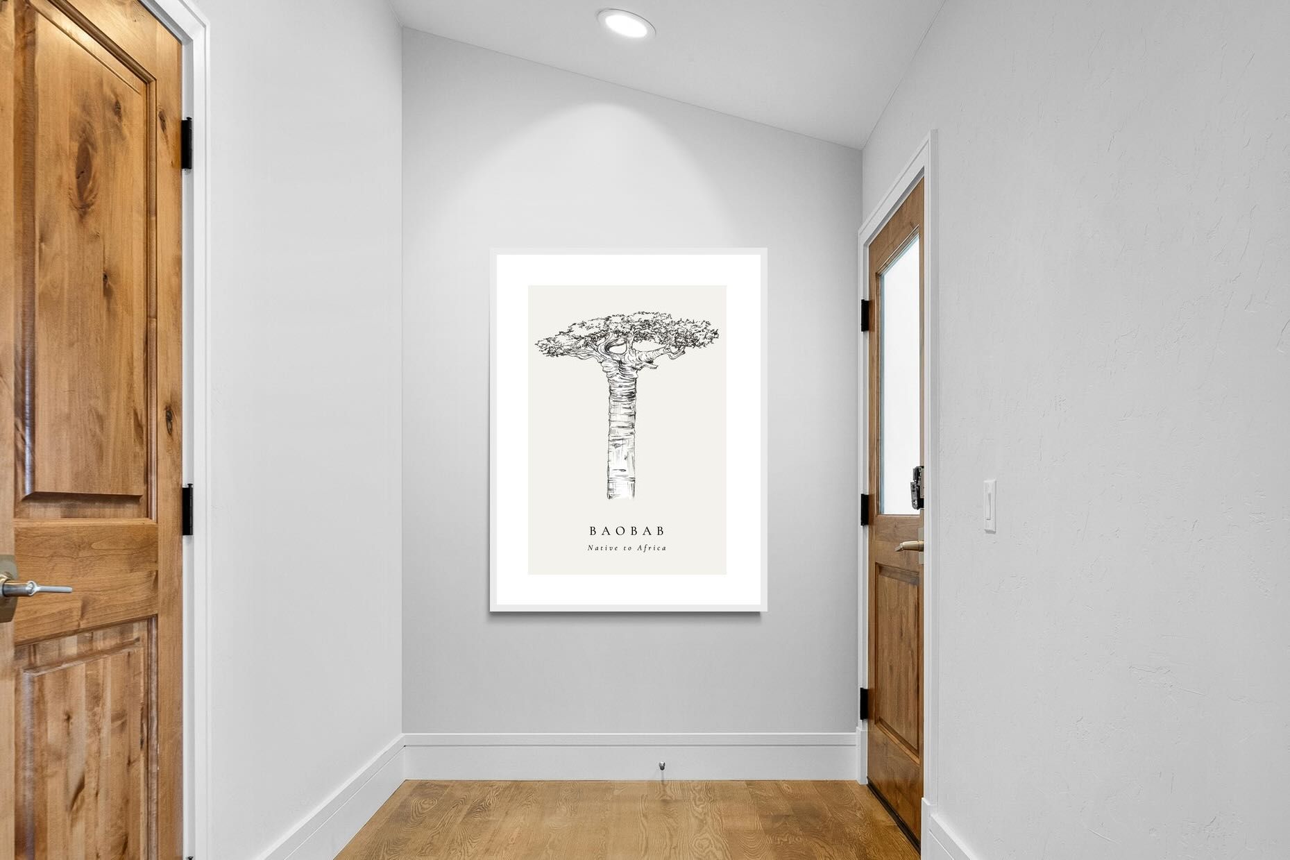Pixalot ® Baobab Illustration