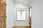 Pixalot ® Baobab Illustration