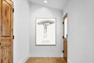 Pixalot ® Baobab Illustration